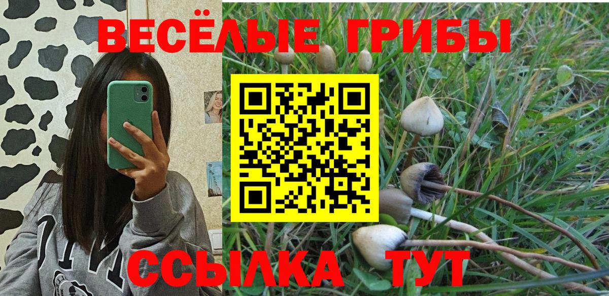 Донецк  Галлюциногенные грибы прущие грибы  Псилоцибиновые грибы Cubensis  Вход с VPN 