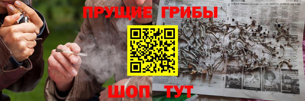 Галлюциногенные грибы ЛСД Донецк